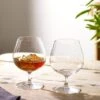 Pack Of 2 Universal Brandy Glass