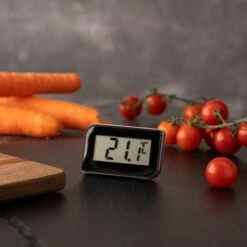 Professional Fridge Thermometer