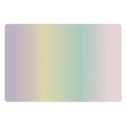 Faux Leather Rainbow Placemat